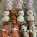 Jelly Cat Plush Bouquet Series｜需提前预定