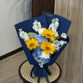 Blue & Gold Dreams (UC)