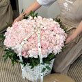 Giant Fairy Kiss Basket